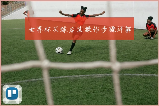 世界杯买球后装操作步骤详解