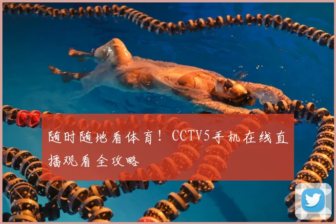 随时随地看体育!CCTV5手机在线直播观看全攻略