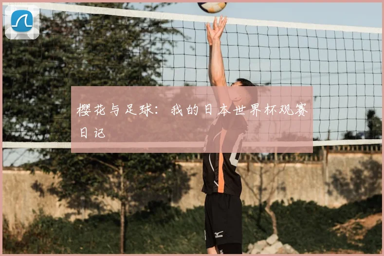 樱花与足球:我的日本世界杯观赛日记