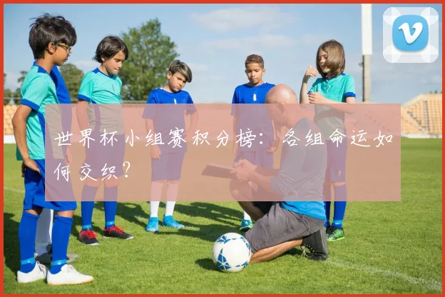 世界杯小组赛积分榜：各组命运如何交织？