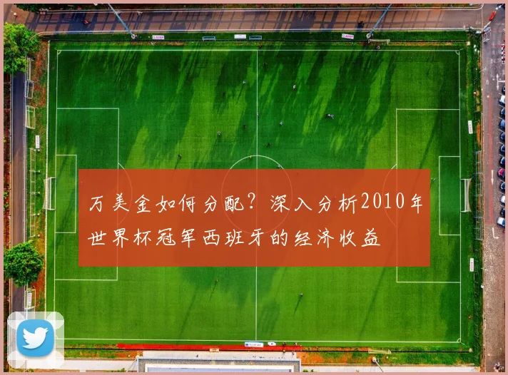 万美金如何分配?深入分析2010年世界杯冠军西班牙的经济收益