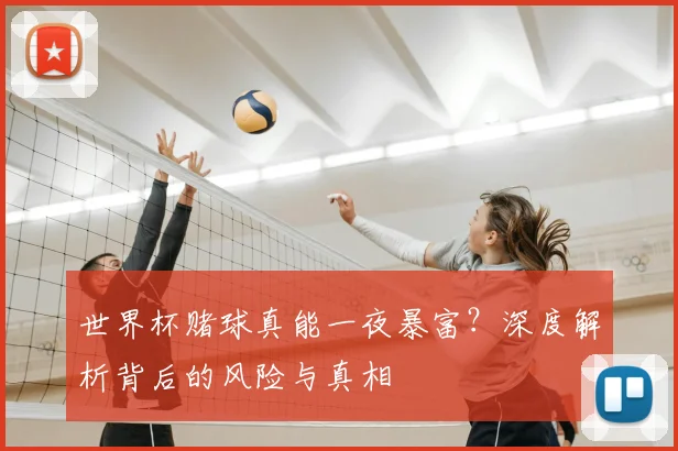 世界杯赌球真能一夜暴富?深度解析背后的风险与真相