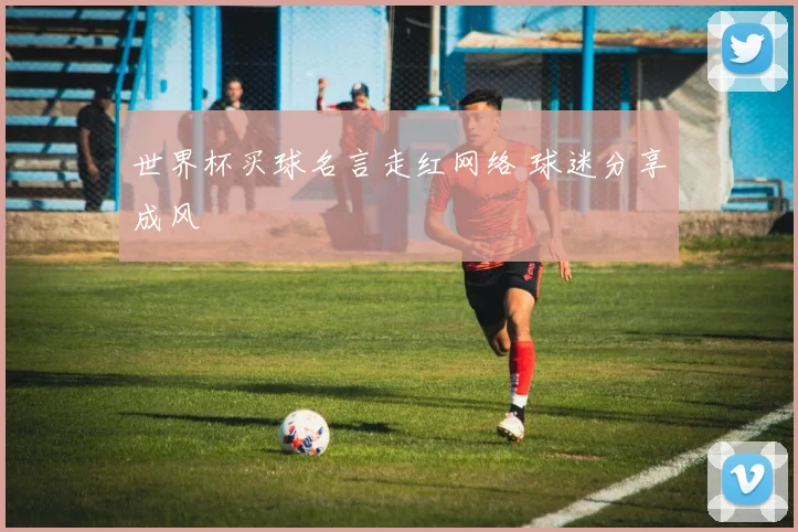世界杯买球名言走红网络 球迷分享成风