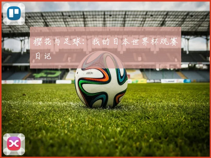 樱花与足球：我的日本世界杯观赛日记